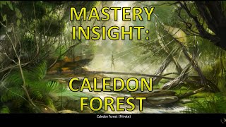 Guild Wars 2  Champions Insight Caledon Forest Mastery Point [upl. by Aloysia]