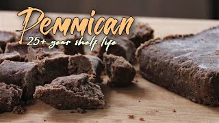 How to make Low Tech Pemmican  Survival food that lasts over 25 years [upl. by Najram]