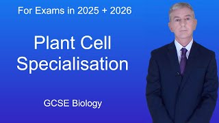 GCSE Biology Revision quotPlant Cell Specialisationquot [upl. by Chavez582]