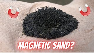 Magnetic sand  How to extract magnetite from sand  DIY experiment [upl. by Roosevelt]