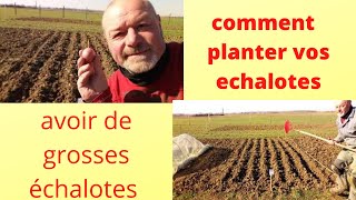 Comment planter vos échalotes [upl. by Durkin]