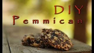 How to make Pemmican  the original DIY survival food [upl. by Annecorinne]