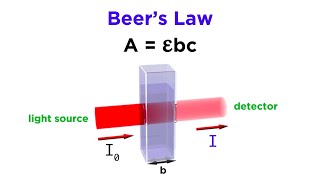 Spectrophotometry and Beers Law [upl. by Judie991]